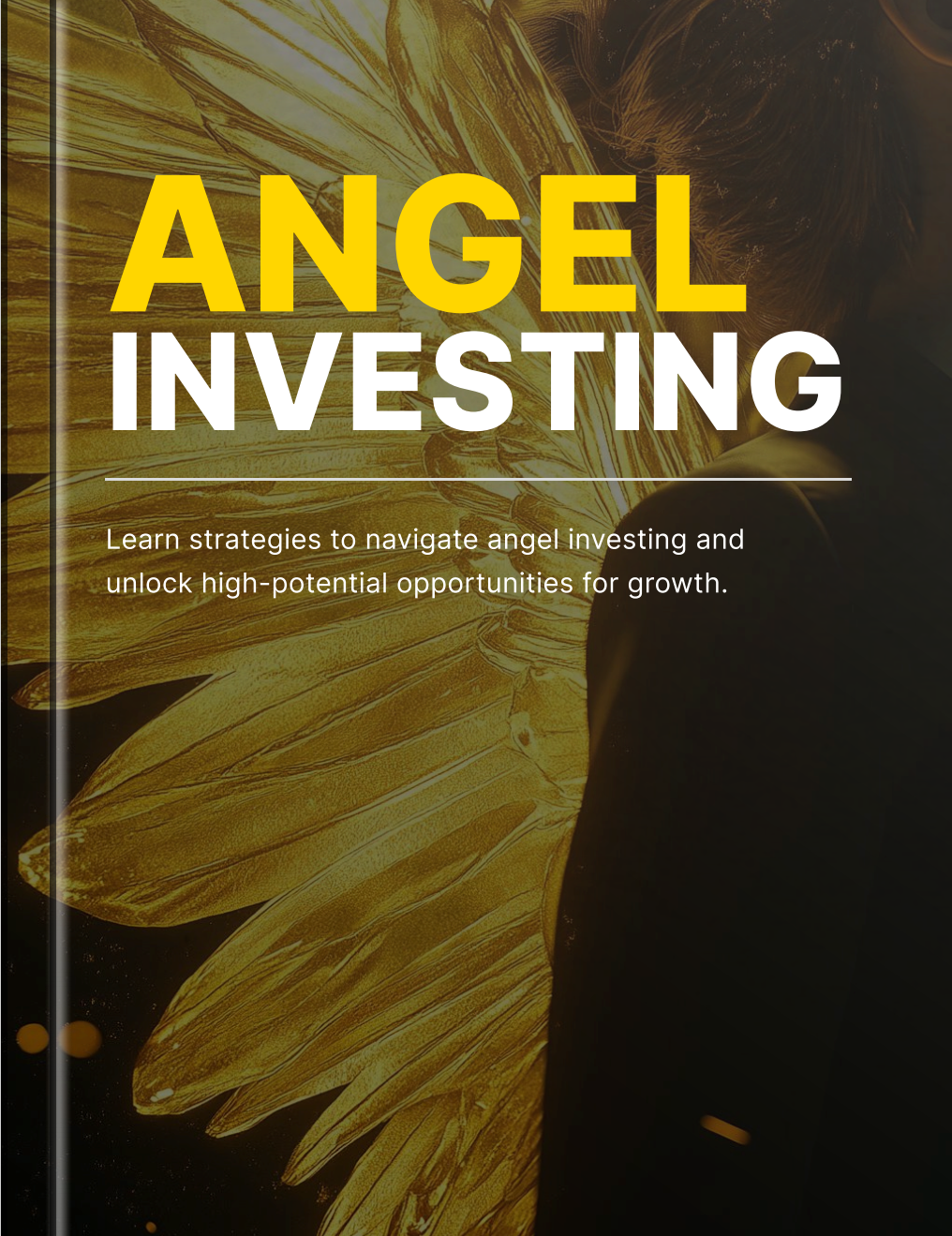 Angel Investing - Book