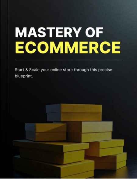 Mastery of Ecommerce