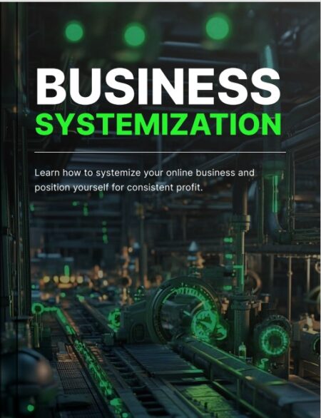 Business Systemization