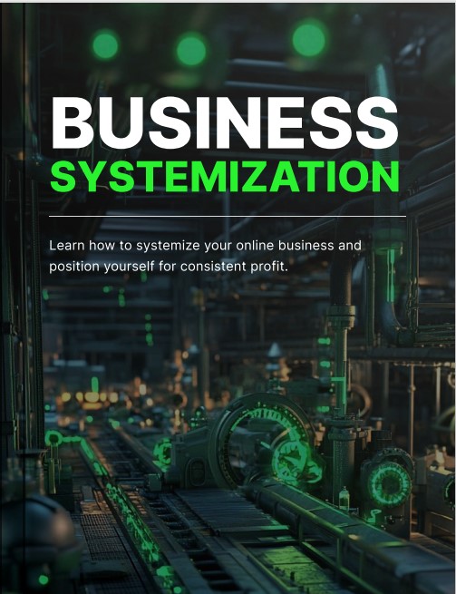 Business Systemization